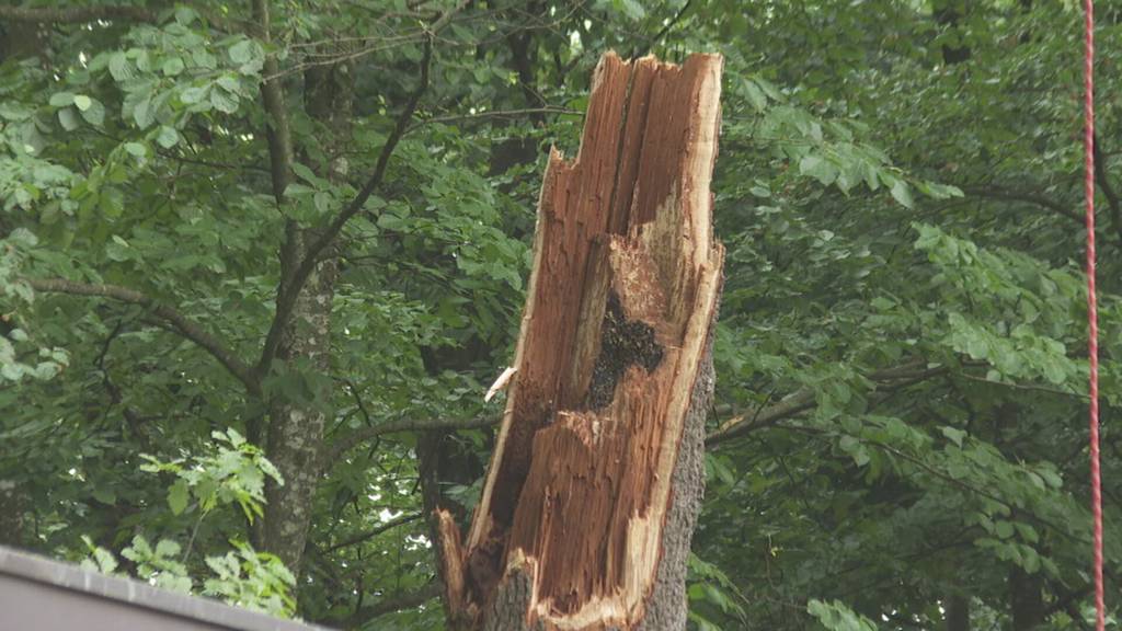 Grosses Aufräumen nach Unwetter im Kanton Luzern