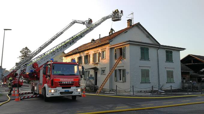 Verletzter bei Hausbrand - drei Katzen gerettet