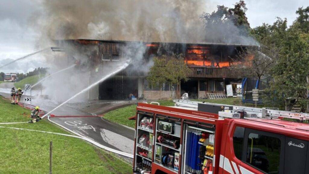 Grosser Sachschaden, aber keine Verletzten beim Brand eines Ökonomiegebäudes in Roggwil im Thurgau.