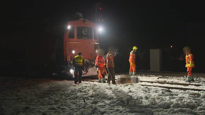 Drei Pferde von SBB-Zug erfasst