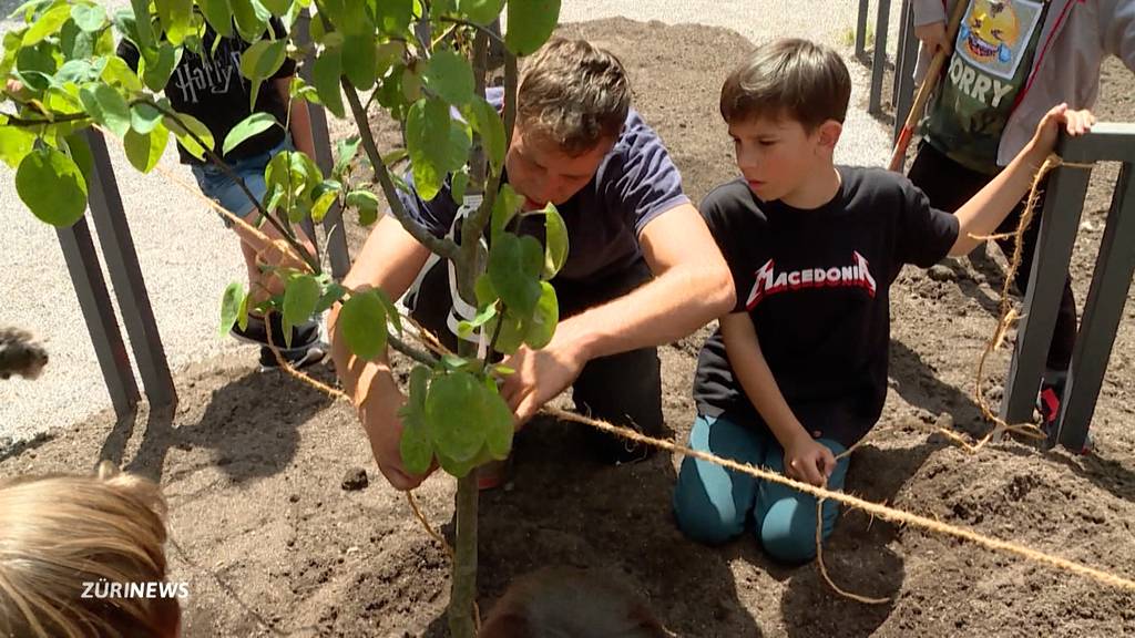 Schülerinnen und Schüler begrünen Altstetten