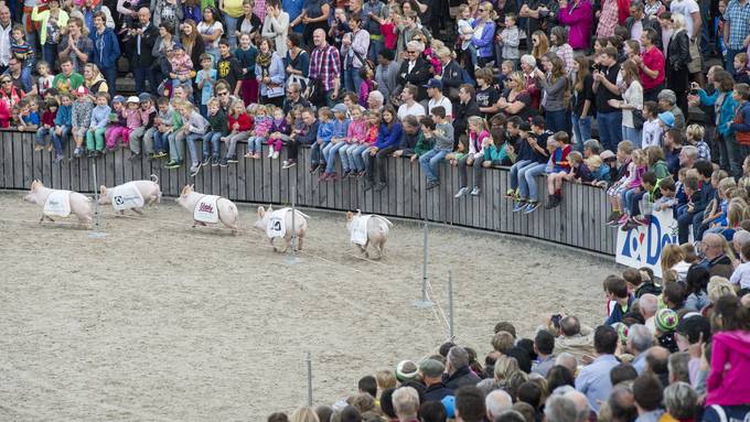 «Das Säulirennen ist Tradition»