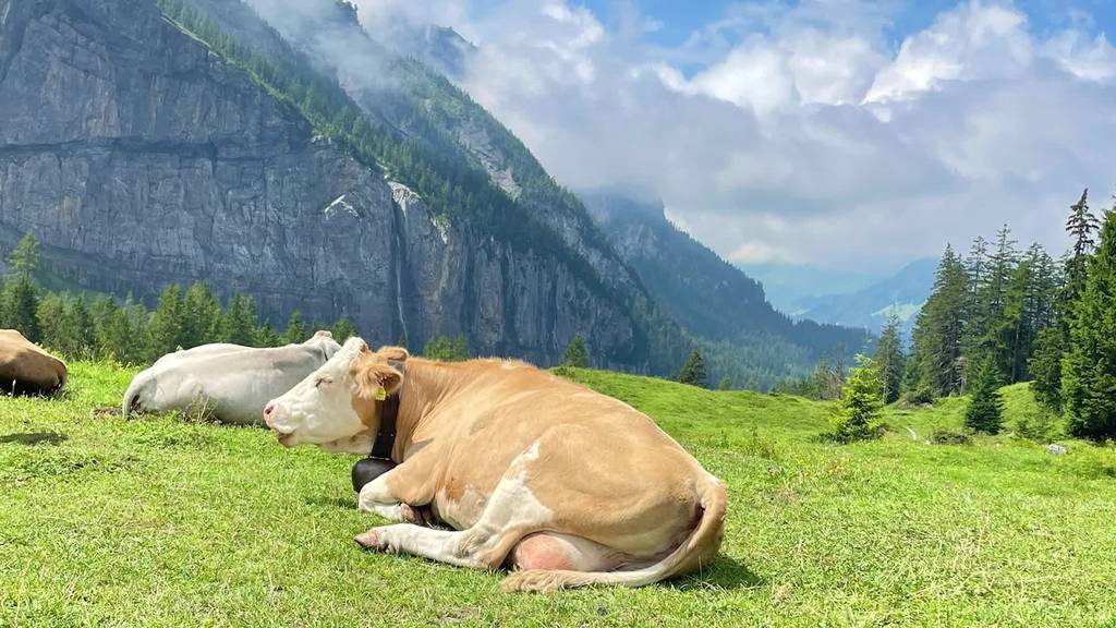 4. Sommerferienwoche: So geniesst die Pilatus-Community den Sommer