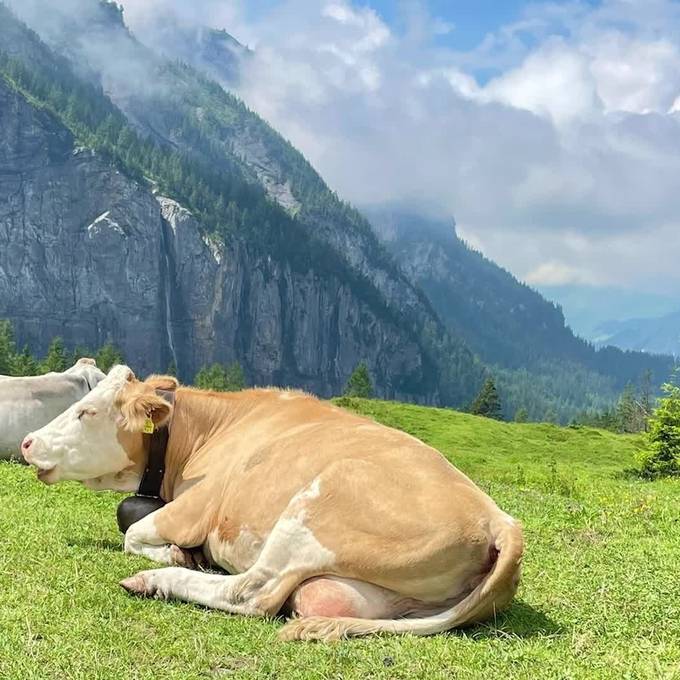 4. Sommerferienwoche: So geniesst die Pilatus-Community den Sommer