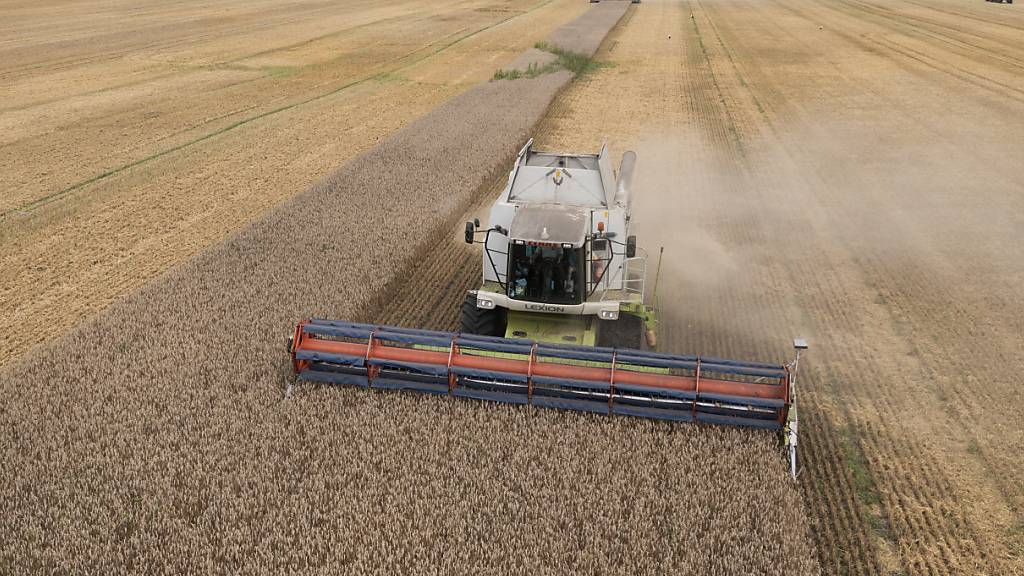 ARCHIV - Besonders Länder in Afrika sind abhängig vom ukrainischen Getreide. Foto: Efrem Lukatsky/AP