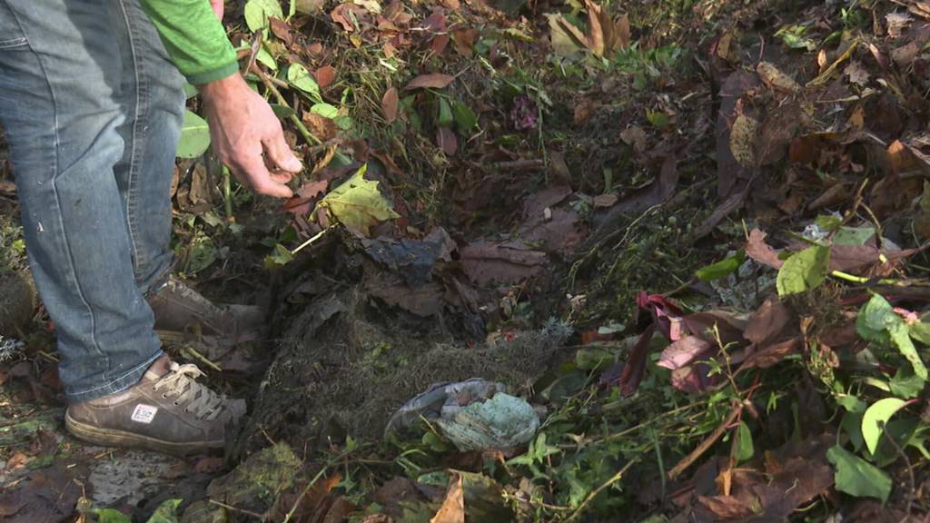 Abfall statt Grüngut: Romanshorn kämpft mit Müll in der Grüntonne