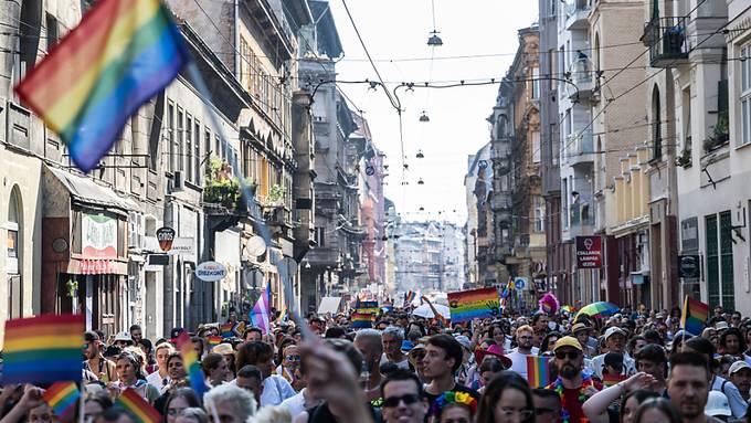Demo nach Strafe für Buchhändler wegen LGBTI-Jugendbuchs in Ungarn