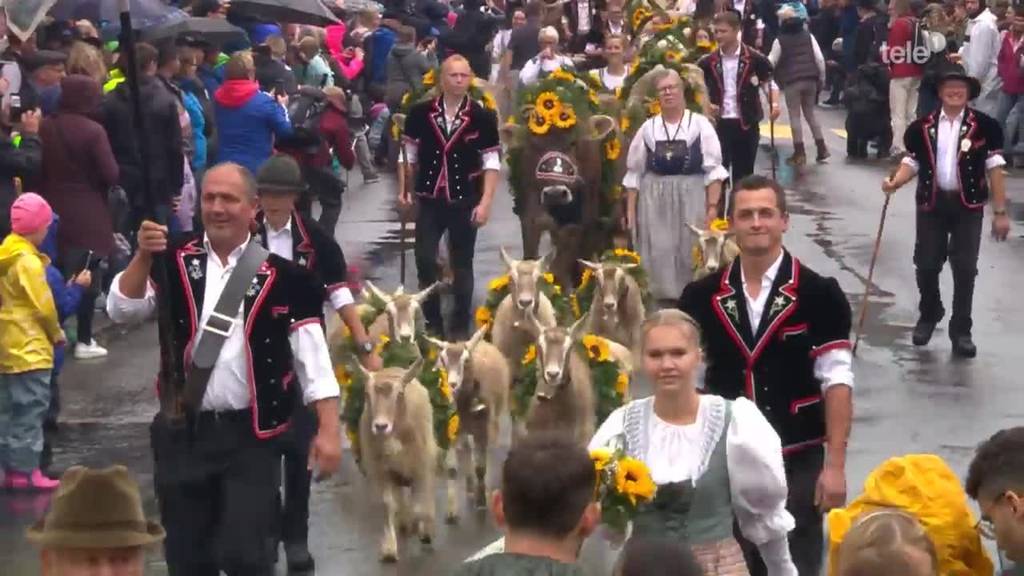 Alpabfahrt Schüpfheim trotzt dem Wetter