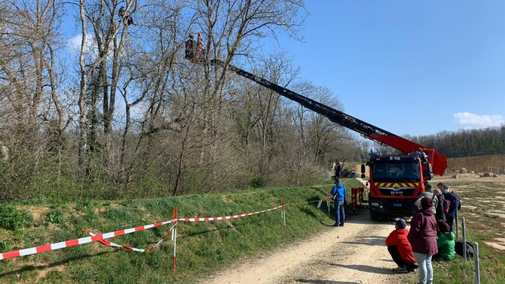 Rettungseinsatz am Baum für zwei Umweltaktivisten auf einem Gelände der Holcim im Kanton Waadt.