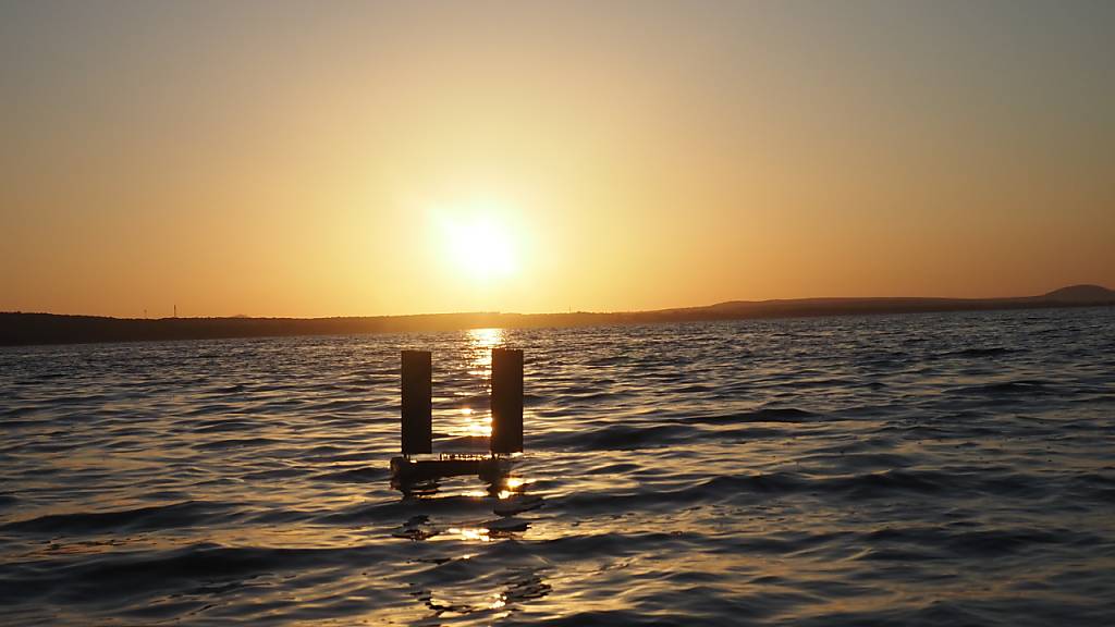 Die Drohne «SaliMAV» segelt mit dem Wind ans Ziel. Sie kann aber auch fliegen.