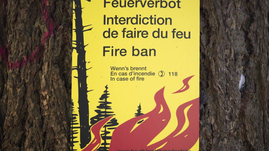Die Waldbrandgefahr steigt auch im Kanton St. Gallen