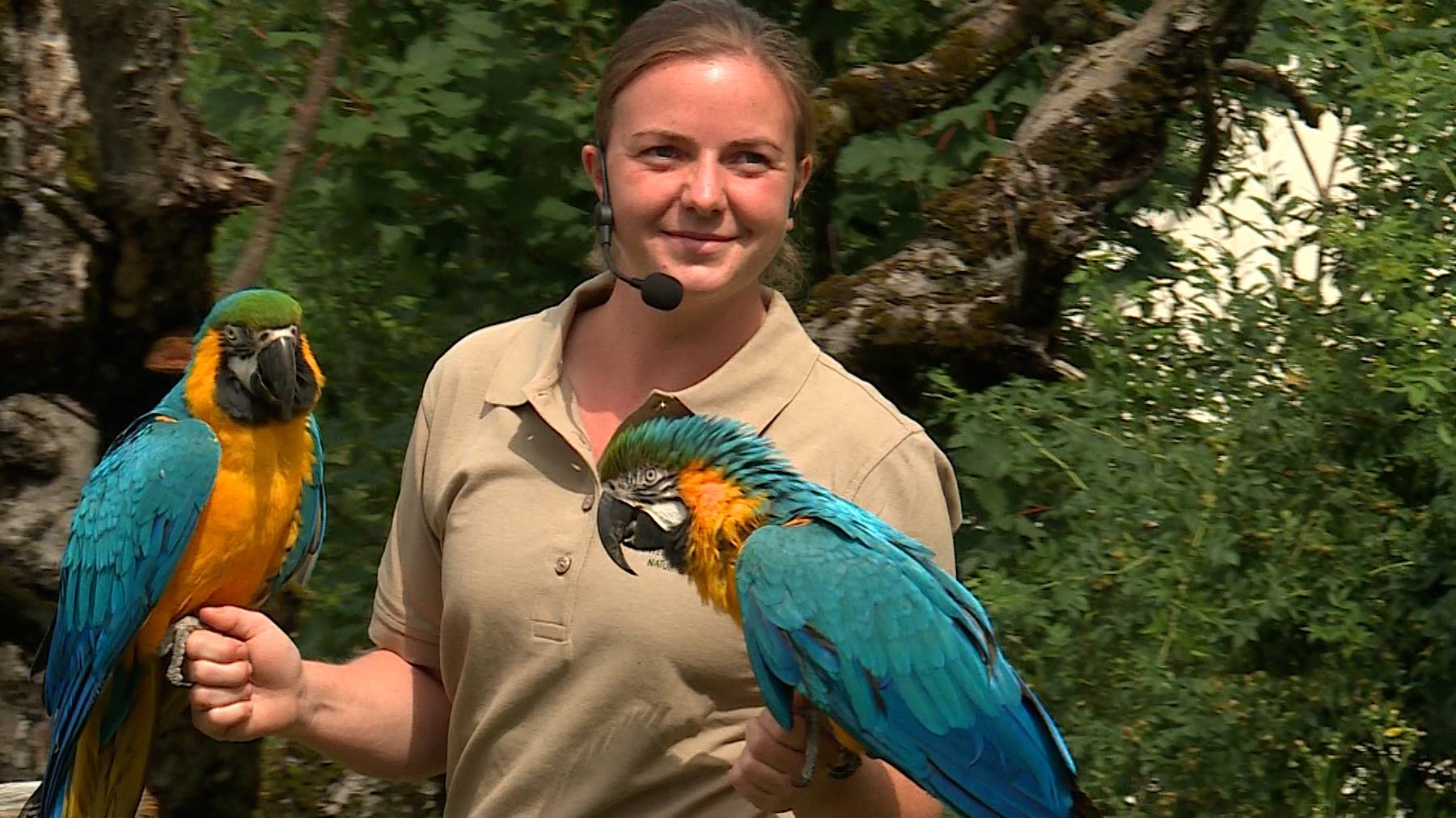 Flugtraining Walter Zoo