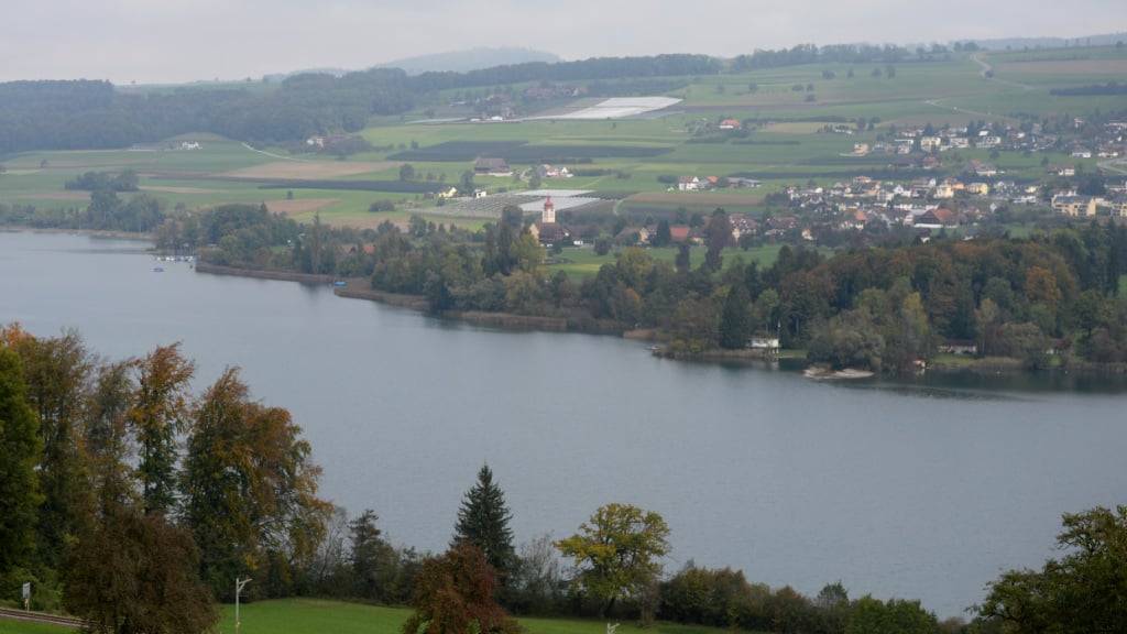 Der potenziell invasive Forellenbarsch wurde im Sommer 2024 bei Fängen von Angelfischern im Baldeggersee festgestellt. (Archivaufnahme)