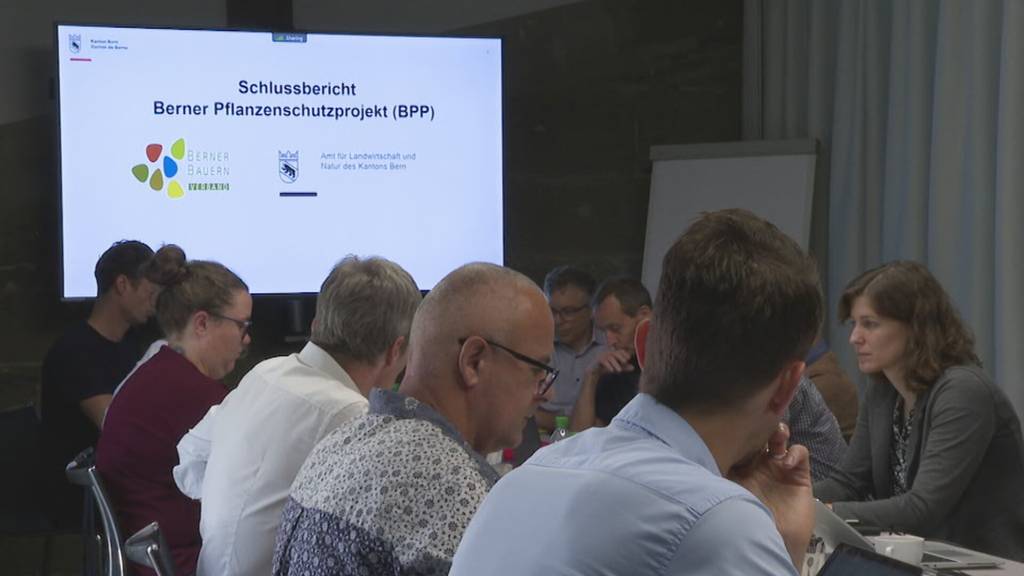Erfolgreiches Pflanzenschutzprojekt