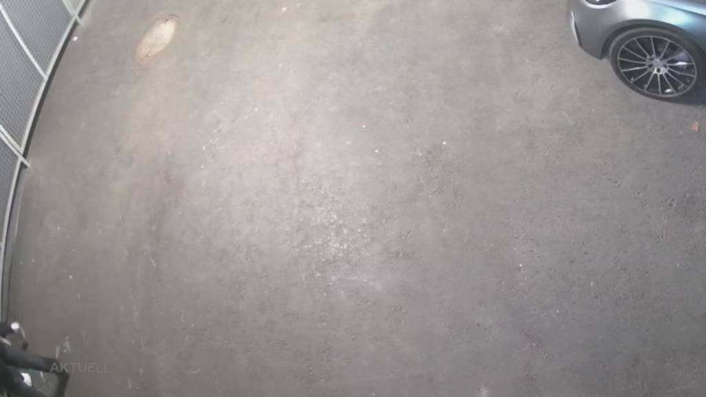 Mit Vollgas davon: Überwachungsbilder zeigen, wie Diebe in Merenschwand einen Porsche klauen