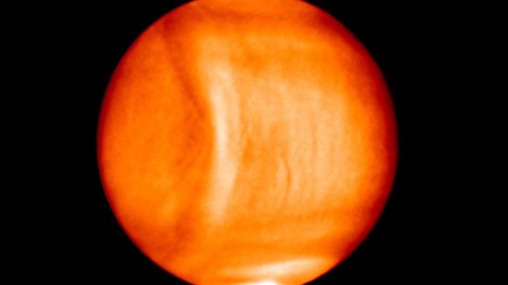 Die bogenförmige Struktur ist als hellere, heissere Zone in der Atmosphäre der Venus zu sehen.