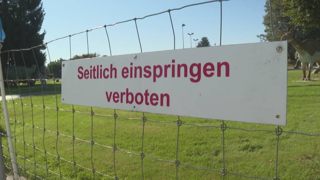 Tierischer Badespass: Hunde dürfen zum Saisonabschluss im Pool plantschen