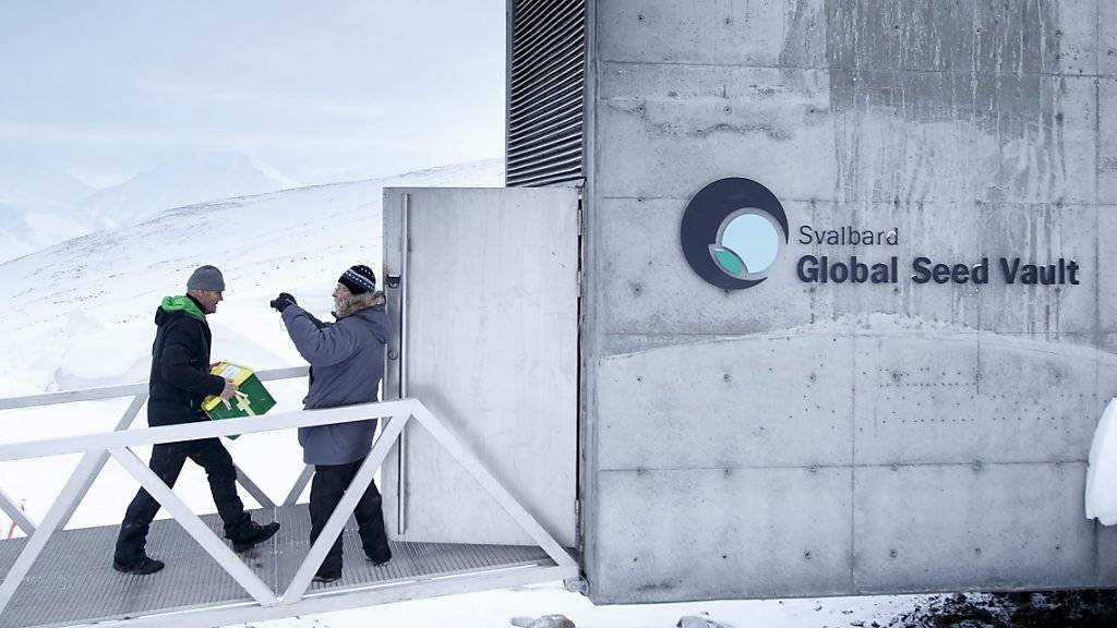 Eine Box mit neuen Samen wird in den Staatguttresor auf Spitzbergen gebracht. (Archiv)