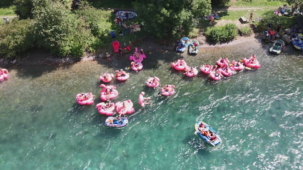 Aare in Pink: Ist die jährliche Flamingofahrt auch sicher?