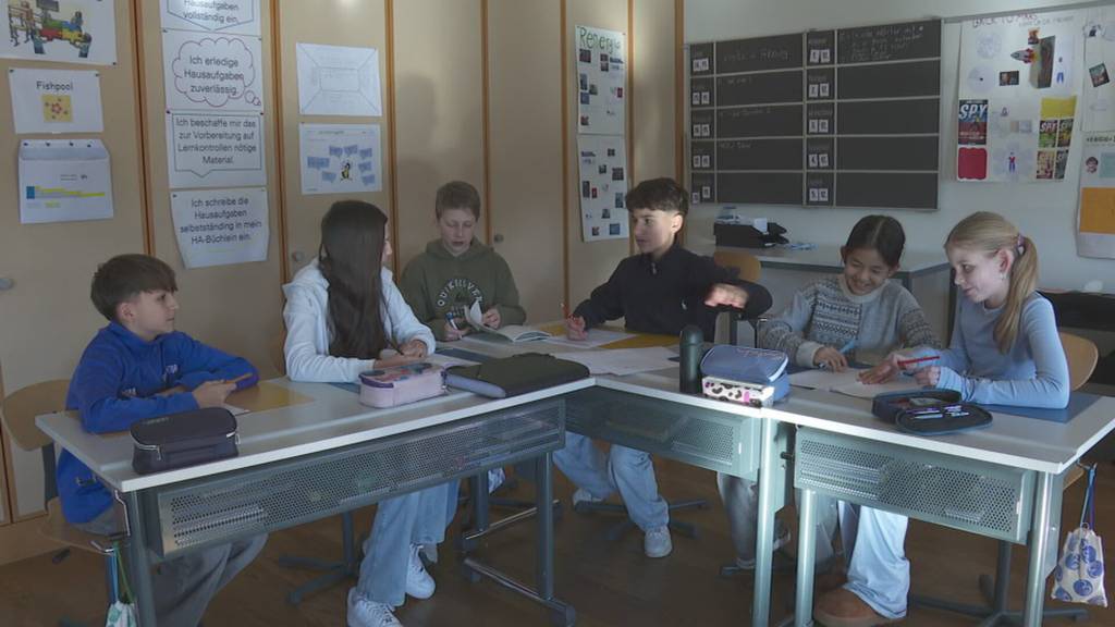 Kanton Zug gibt Sprachaustauschprojekt an Gemeinden ab