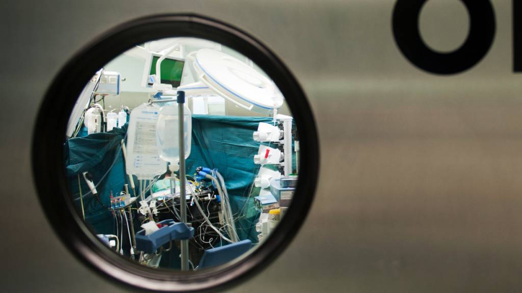 Die Zahl der Spender reicht bei weitem nicht, um den Bedarf an Organen zu decken. Organe von Schweinen gelten als mögliche Lösung. (Themenbild)