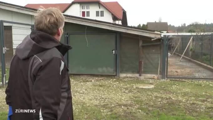 Vogelgrippealarm: Hühner dürfen nicht mehr raus – die Freilandeier bleiben jedoch