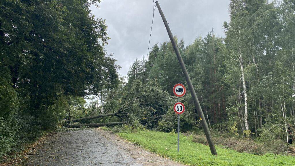 Ein umgestürzter Baum in Lettland blockiert eine Straße und hat einen Strommast beschädigt. Foto: Alexander Welscher/dpa