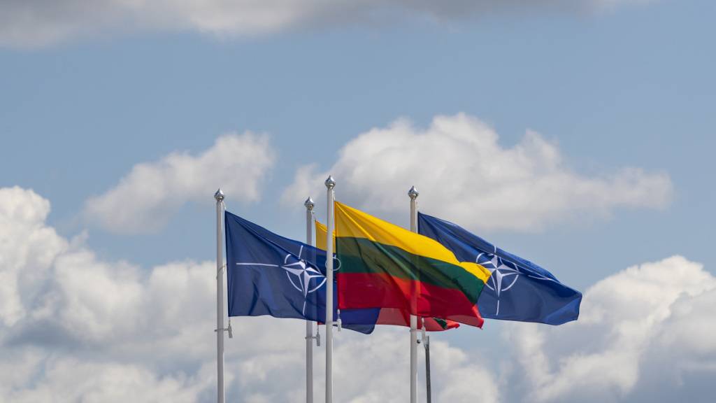 ARCHIV - Flaggen der NATO-Mitgliedsländer wehen im Wind vor dem Veranstaltungsort des NATO-Gipfels. Foto: Mindaugas Kulbis/AP/dpa (Archivbild)