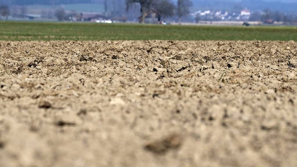 Die trockenen und heissen Sommer der letzten Jahre haben gezeigt, dass selbst in der wasserreichen Schweiz die kostbare Ressource in manchen Regionen knapp werden kann (Archivbild).