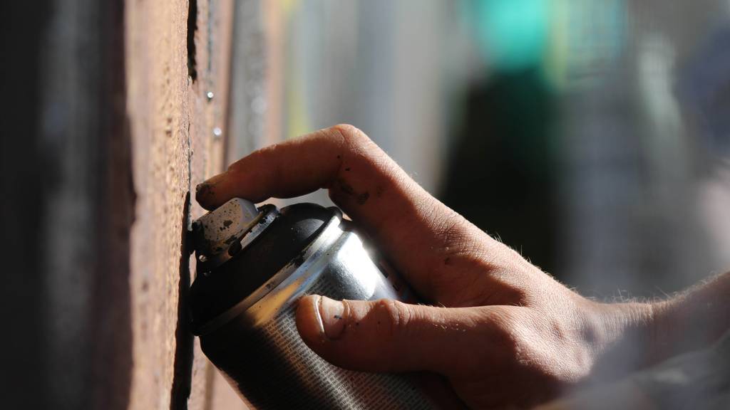 Sprayer muss für über zehn illegale Graffitis im Kanton Zürich geradestehen