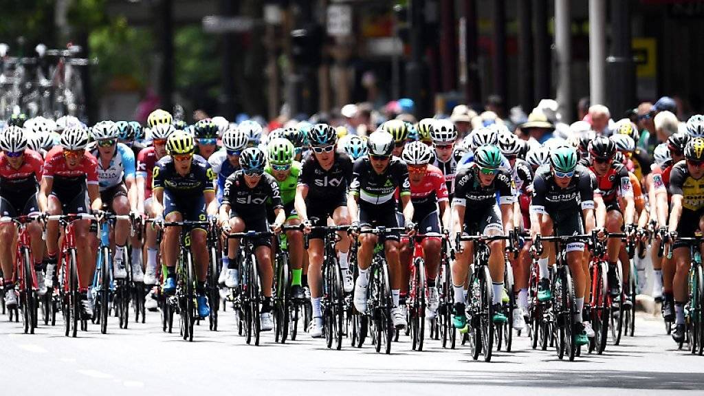 Traditionell wird die Radsport-Saison in Australien eingeläutet