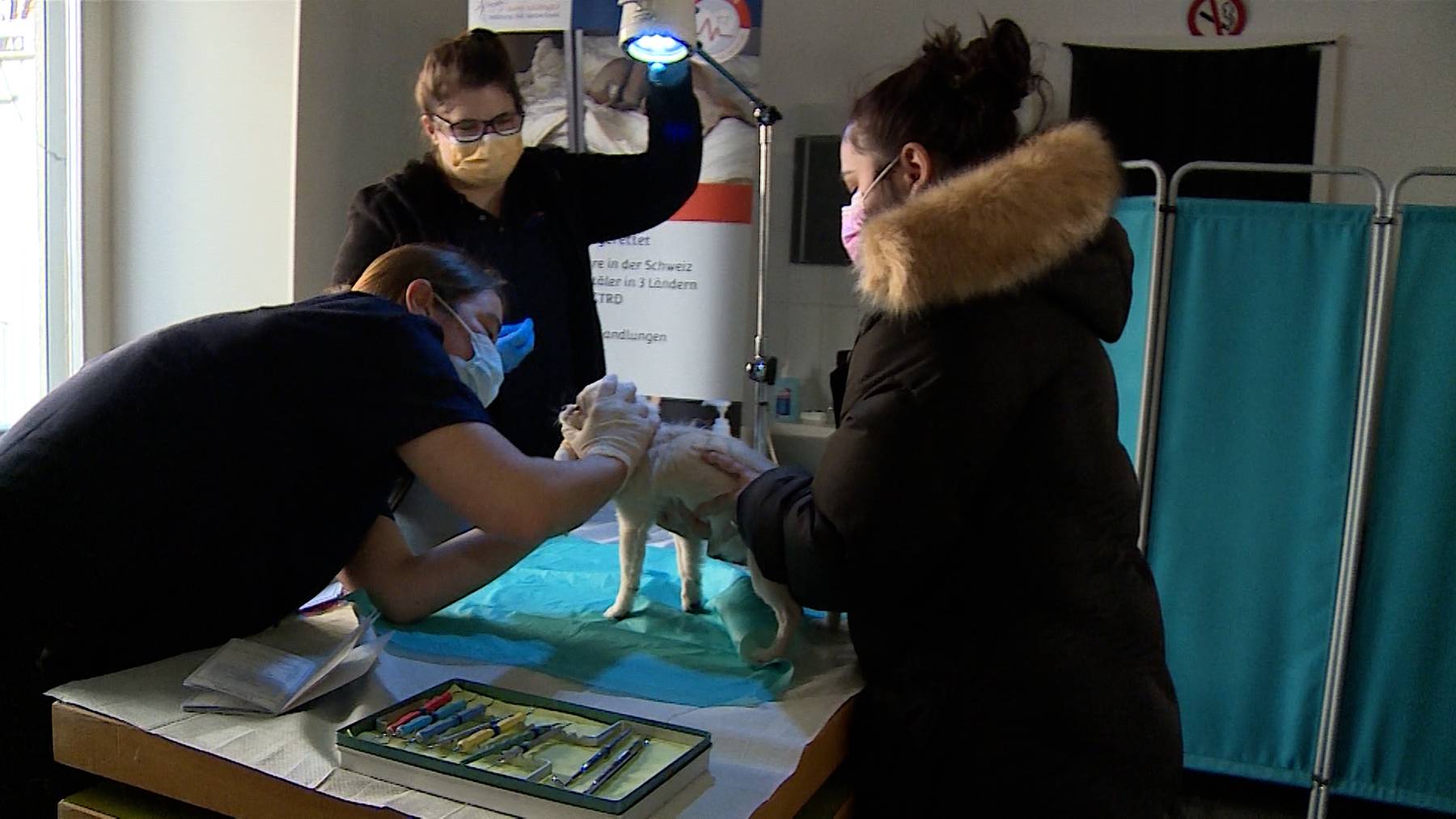 Tierarztsprechstunde für randständige Tierhalter 