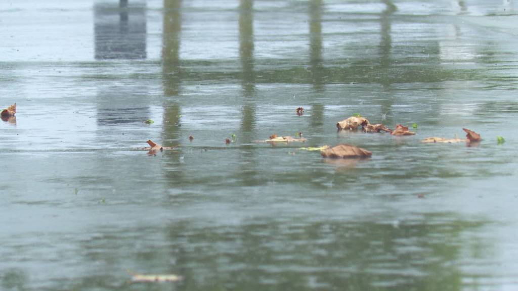 Endlich Regen: Aufatmen am Untersee