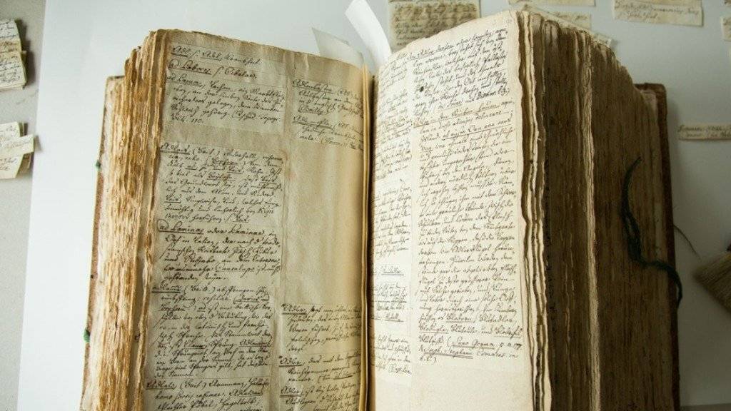 Das «Deutsche Glossar» von Johann Jakob Spreng besteht aus gegen 100'000 handschriftlichen Zetteln. Nun wird das Werk erstmals der Öffentlichkeit zugänglich gemacht.