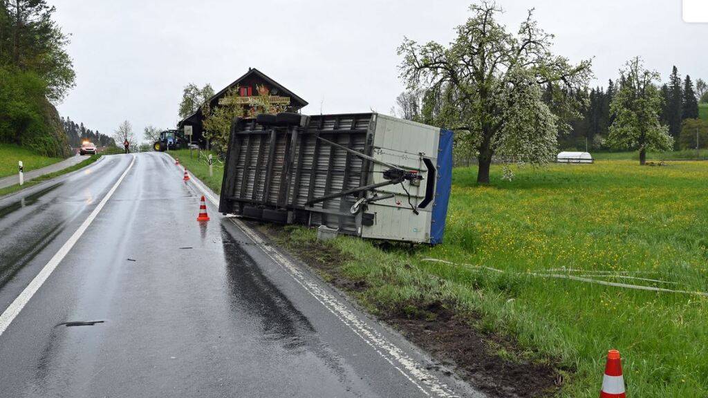 Mit Schweinen beladener Anhänger kippt in Menznau LU