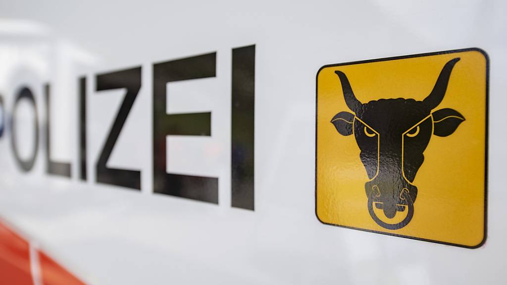 Die Kantonspolizei Uri verfolgte auf der Gotthardautobahn einen verdächtigen Lieferwagen. (Symmbolbild)