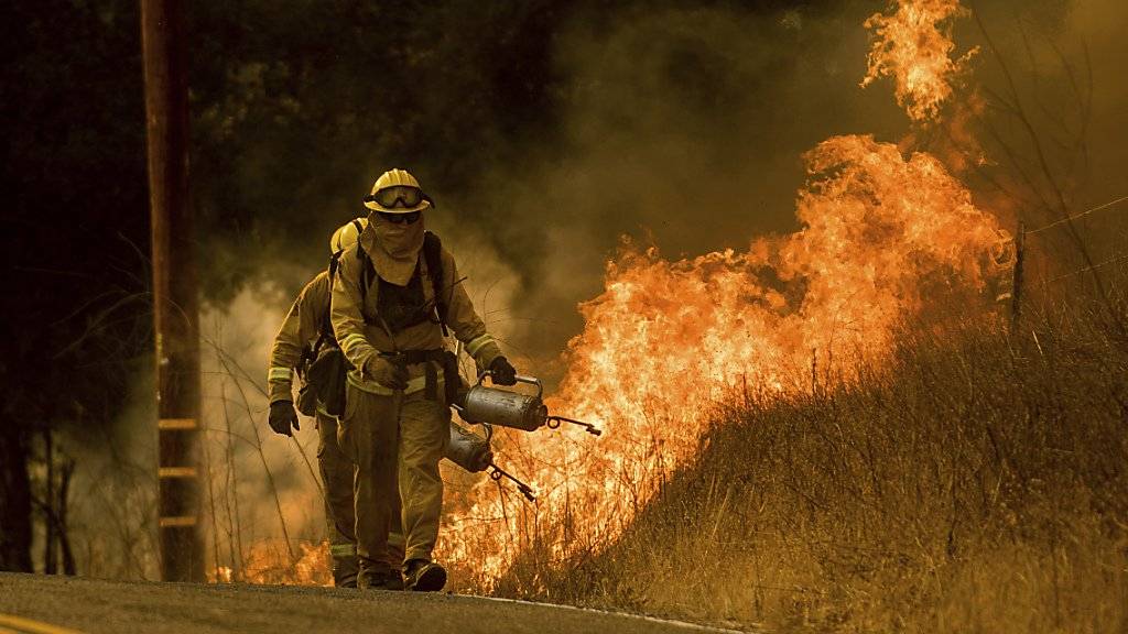 Feuerwehrleute in Kalifornien legen gezielt Feuer, um den wilden Buschbränden die Nahrung zu nehmen und eine Ausbreitung zu verhindern.