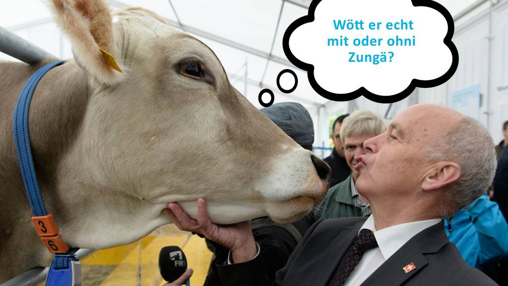 Bundesrat Ueli Maurer hat ein intimes Verhältnis zu Olma-Kühen.
