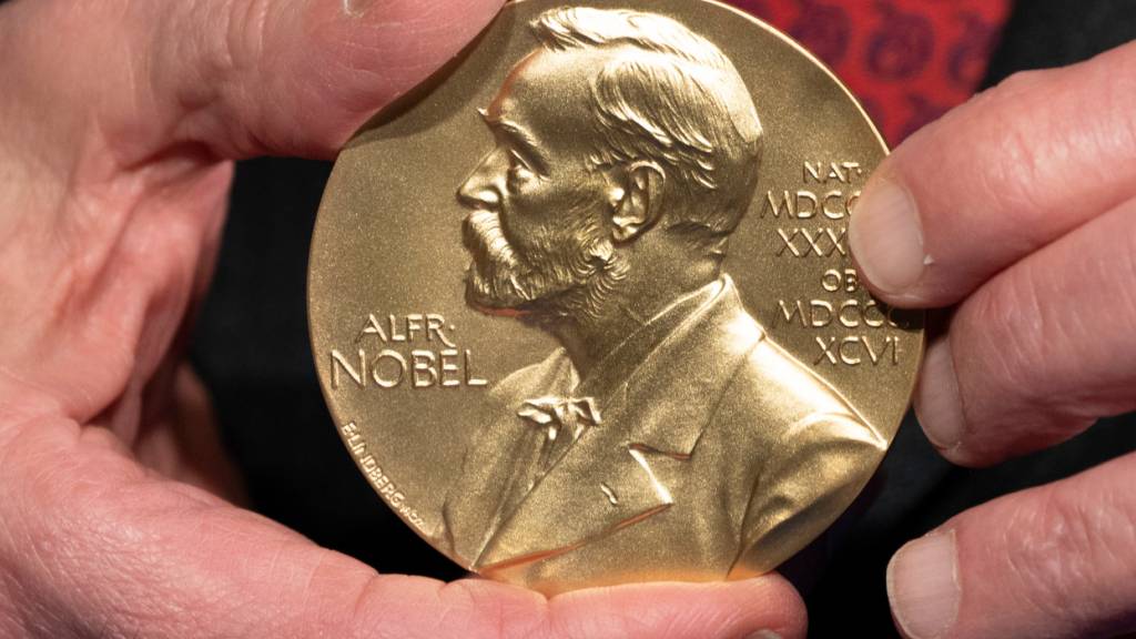 Das Preisgeld für einen Nobelpreis beträgt 12 Millionen schwedische Kronen - das entspricht fast einer Million Franken.