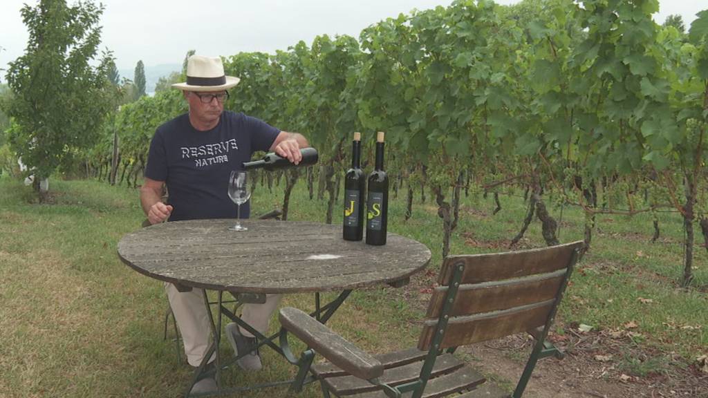 Zentralschweizer Weinbauern erwarten einen guten Jahrgang