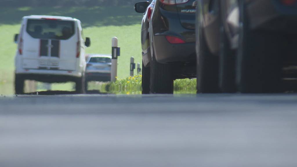 Kampf gegen Schweinepest: Im Thurgau ringen Behörden um Abfalleimer-Verantwortung