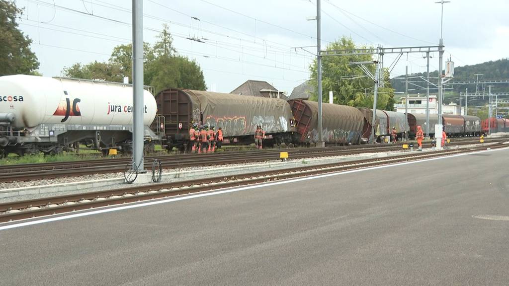 4 Waggons in Wildegg entgleist – Zugverkehr nimmt wieder Fahrt auf