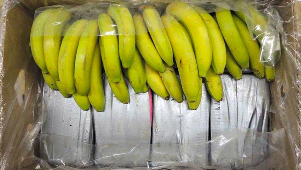 In Bananenkisten aus Ecuador sichergestelltes Kokain im November 2017. 