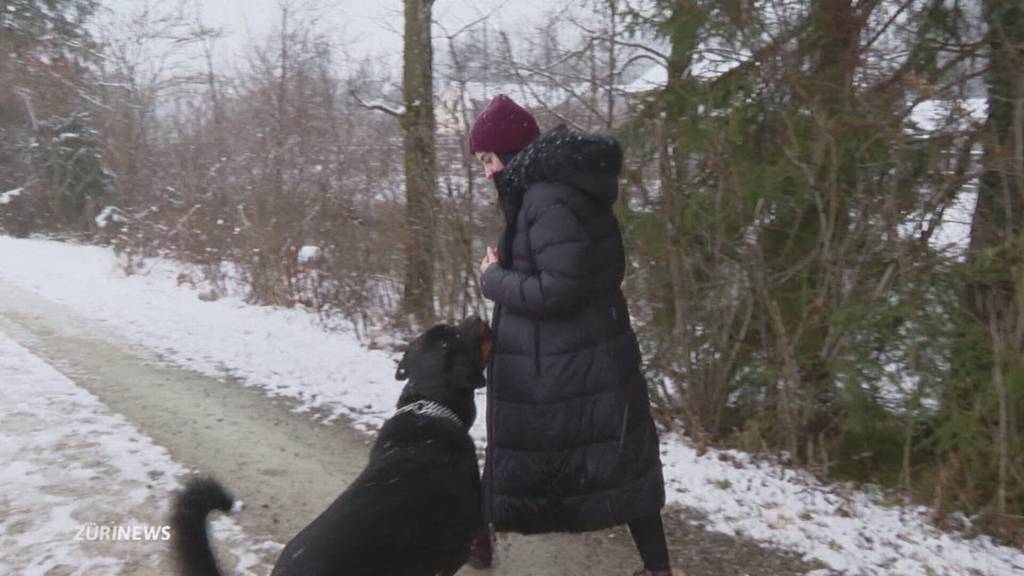 Widerstand gegen Rottweiler-Verbot: Hündeler wehren sich