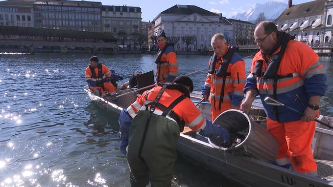 Stadt Luzern will mehr gegen verschmutzte Gewässer machen