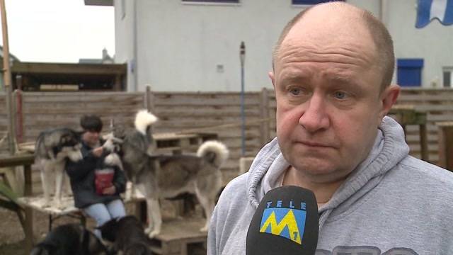 Müssen 10 Huskys sterben?