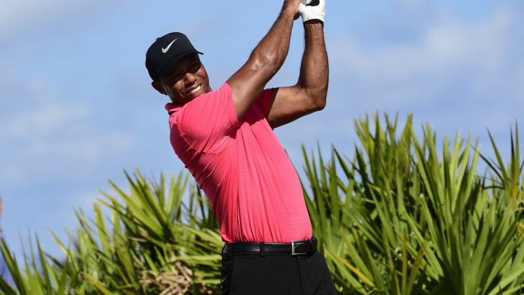 Tiger Woods will wieder so häufig spielen wie in seinen besten Jahren