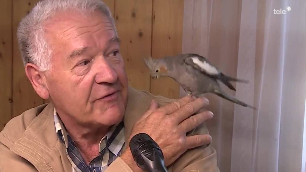 «Tierisch»: Wenn Mann einen Vogel hat  