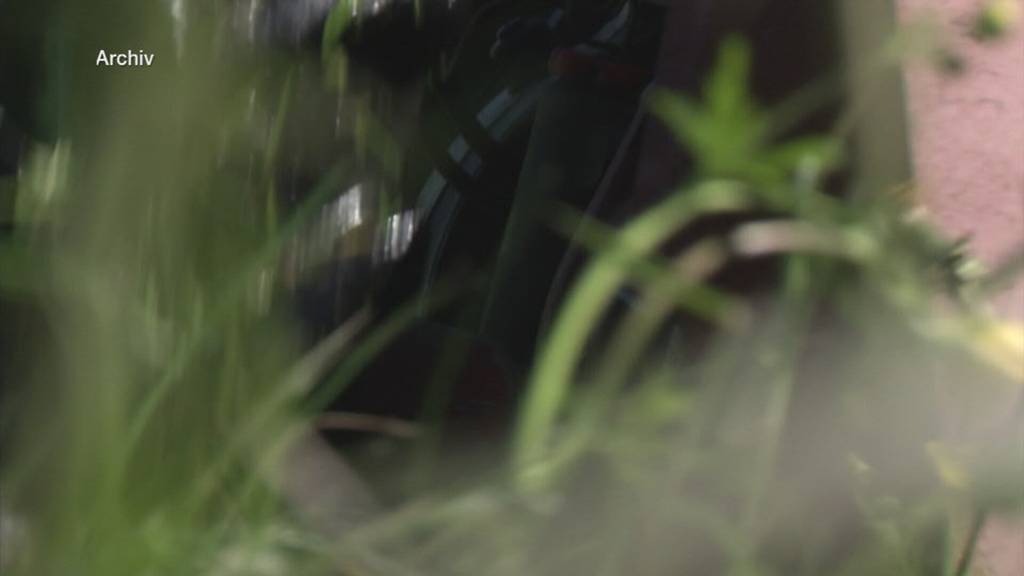 Neue Wege für die Ostschweizer Landwirtschaft