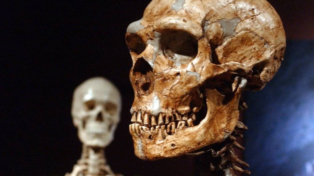 Neandertaler und moderne Menschen haben mehr gemeinsam als oft gedacht. (Archivbild)